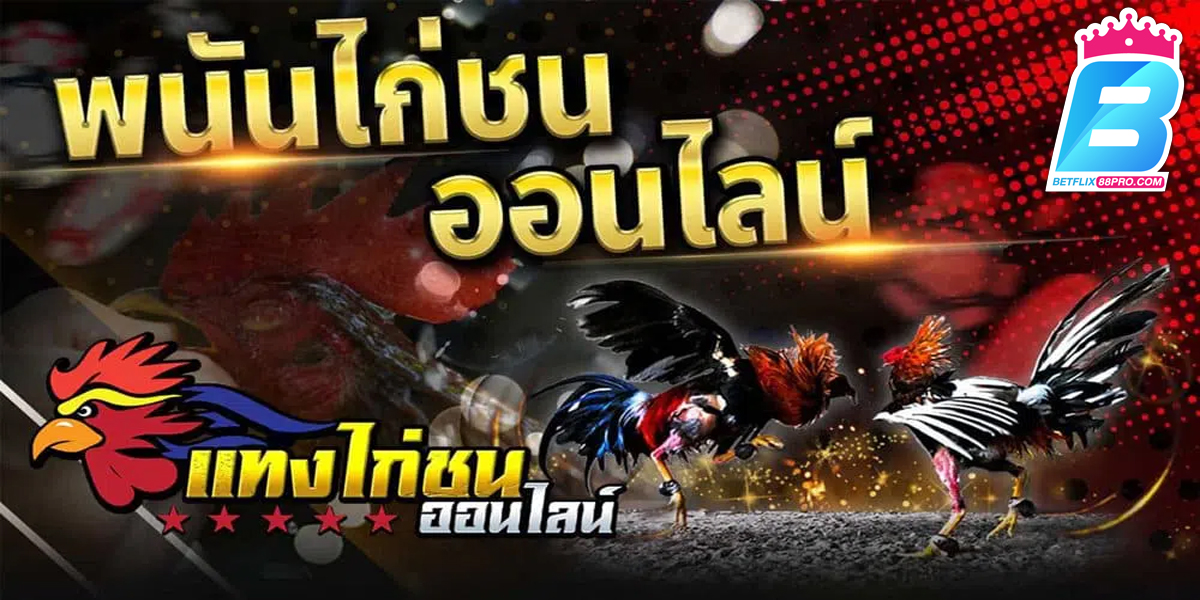 เกมไก่ชน-"game"