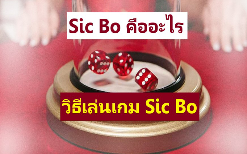 เกมทอยลูกเต๋า-"dice-rolling-game"